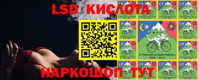 индика Лесосибирск