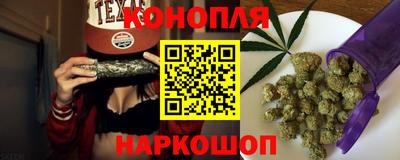 индика Лесосибирск