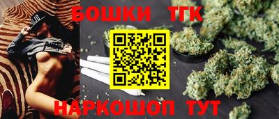индика Лесосибирск