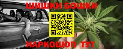 индика Лесосибирск