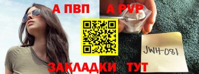 индика Лесосибирск