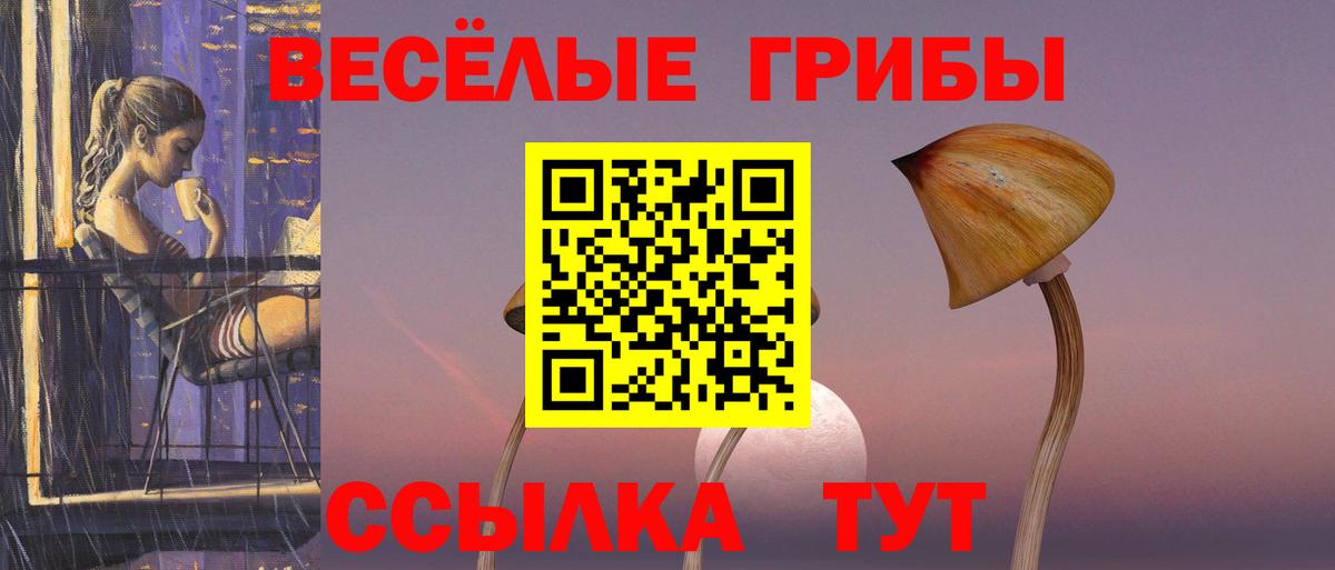 Галлюциногенные грибы мухоморы Энгельс