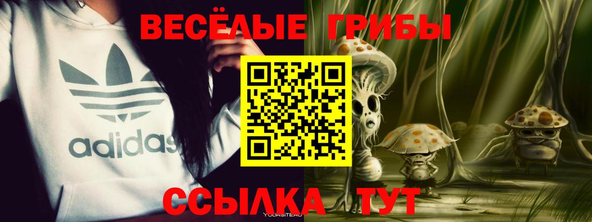 Галлюциногенные грибы Cubensis  Вход с VPN  Энгельс 